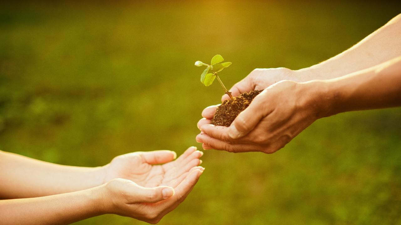 Modern office collaboration